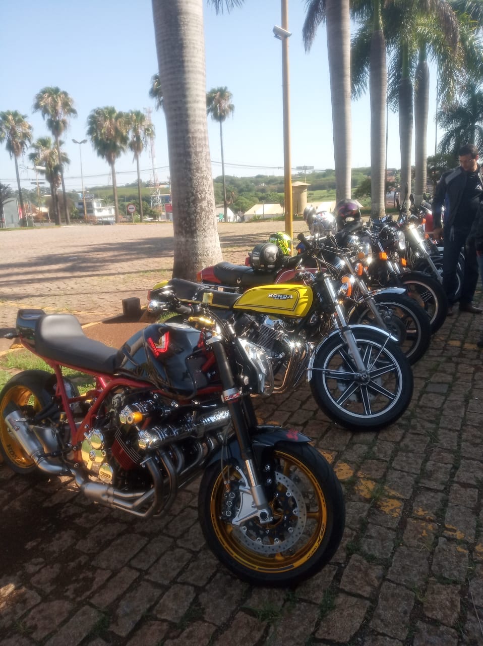 WhatsApp Image 2019-11-17 at 16.54.14 (3).jpeg