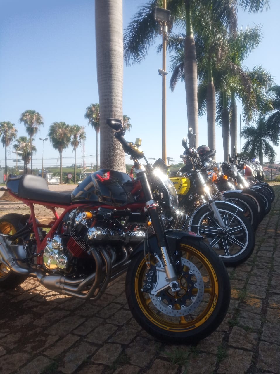 WhatsApp Image 2019-11-16 at 08.28.36.jpeg